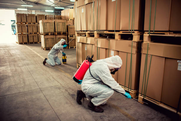 Wasp Removal Services in Gallatin, MO