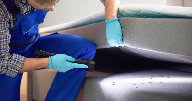 Best Emergency Pest Control  in Gallatin, MO