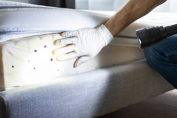 Best Residential Pest Control  in Gallatin, MO