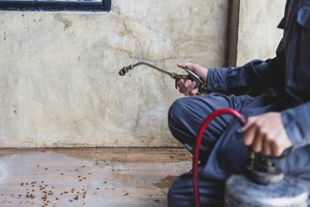 Best Rat Extermination Near Me  in Gallatin, MO